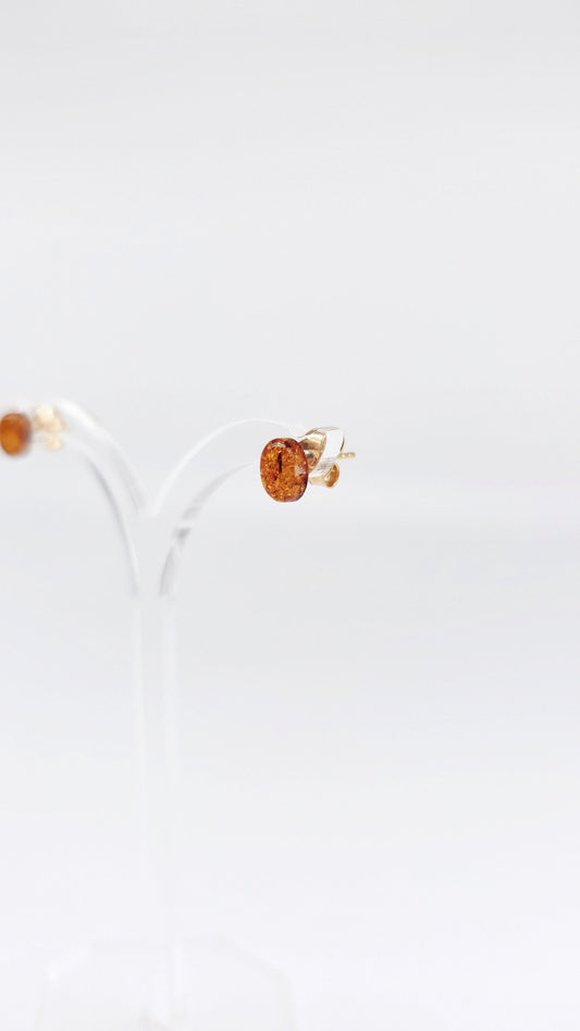 Radiant charm: amber earrings