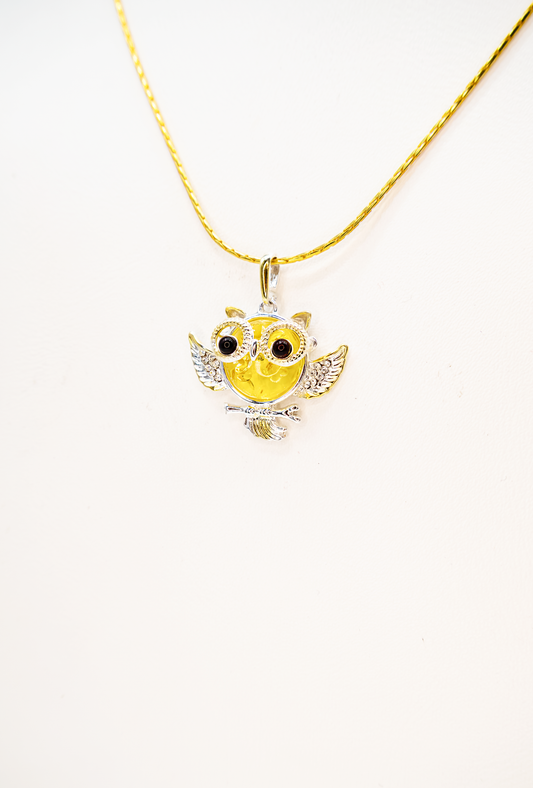 Symbol of Wisdom – Amber Pendant Owl Silver