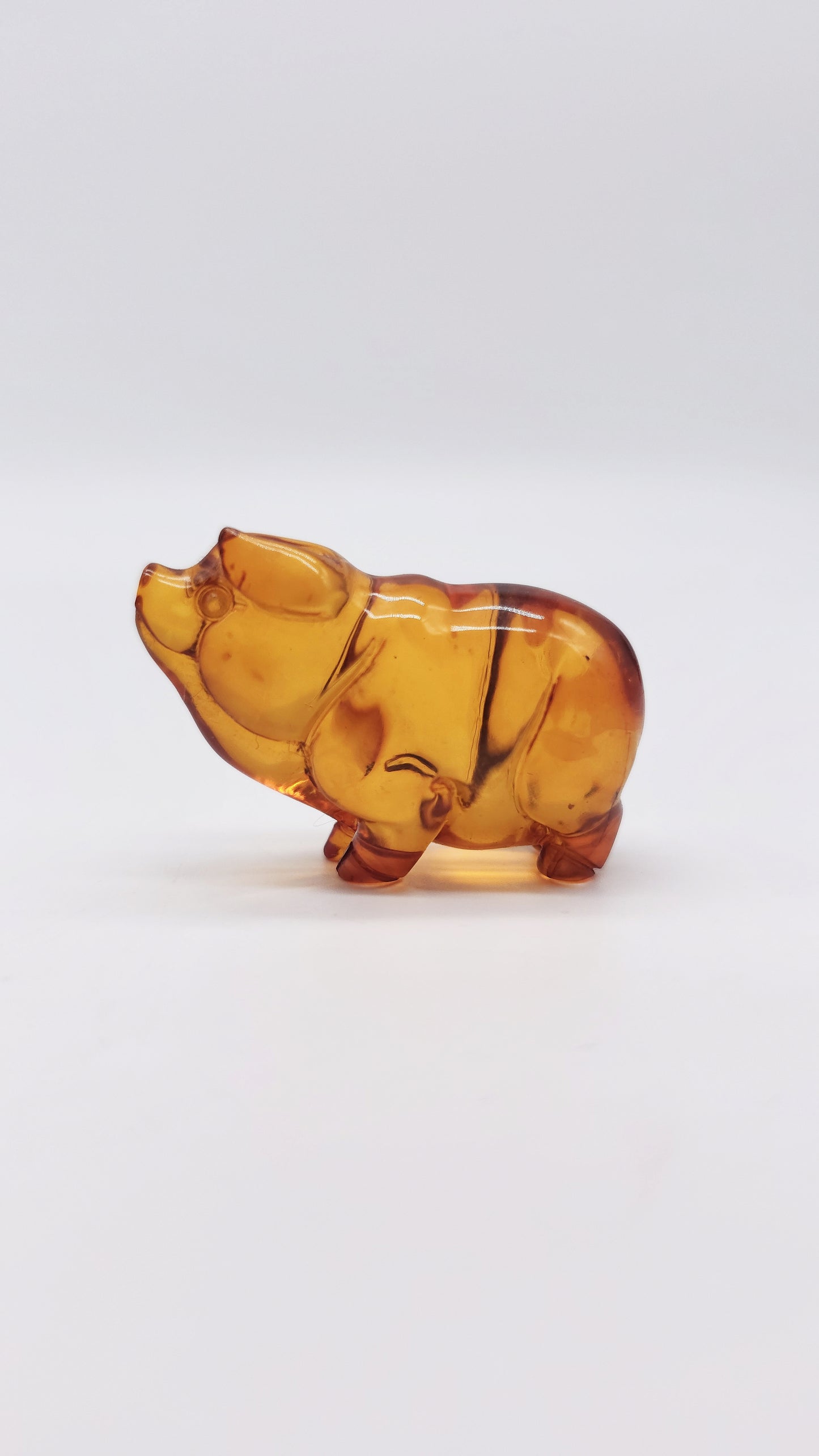 Glücksbringer Schwein aus Bernstein – Symbol für Fülle & Glück