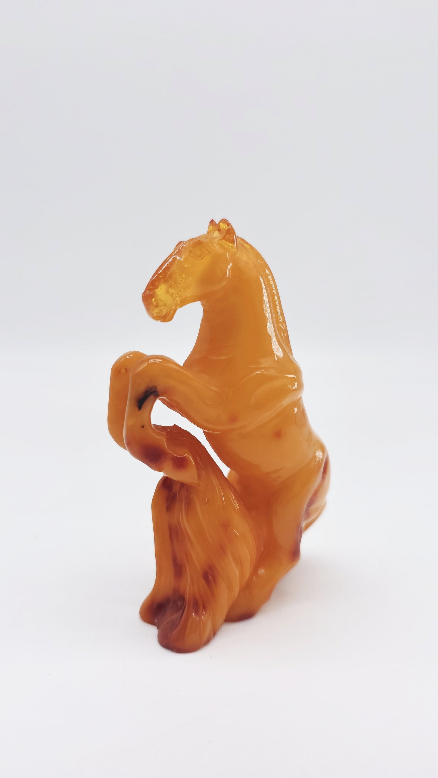 Pferd – Perfektes Geschenk für Dynamik