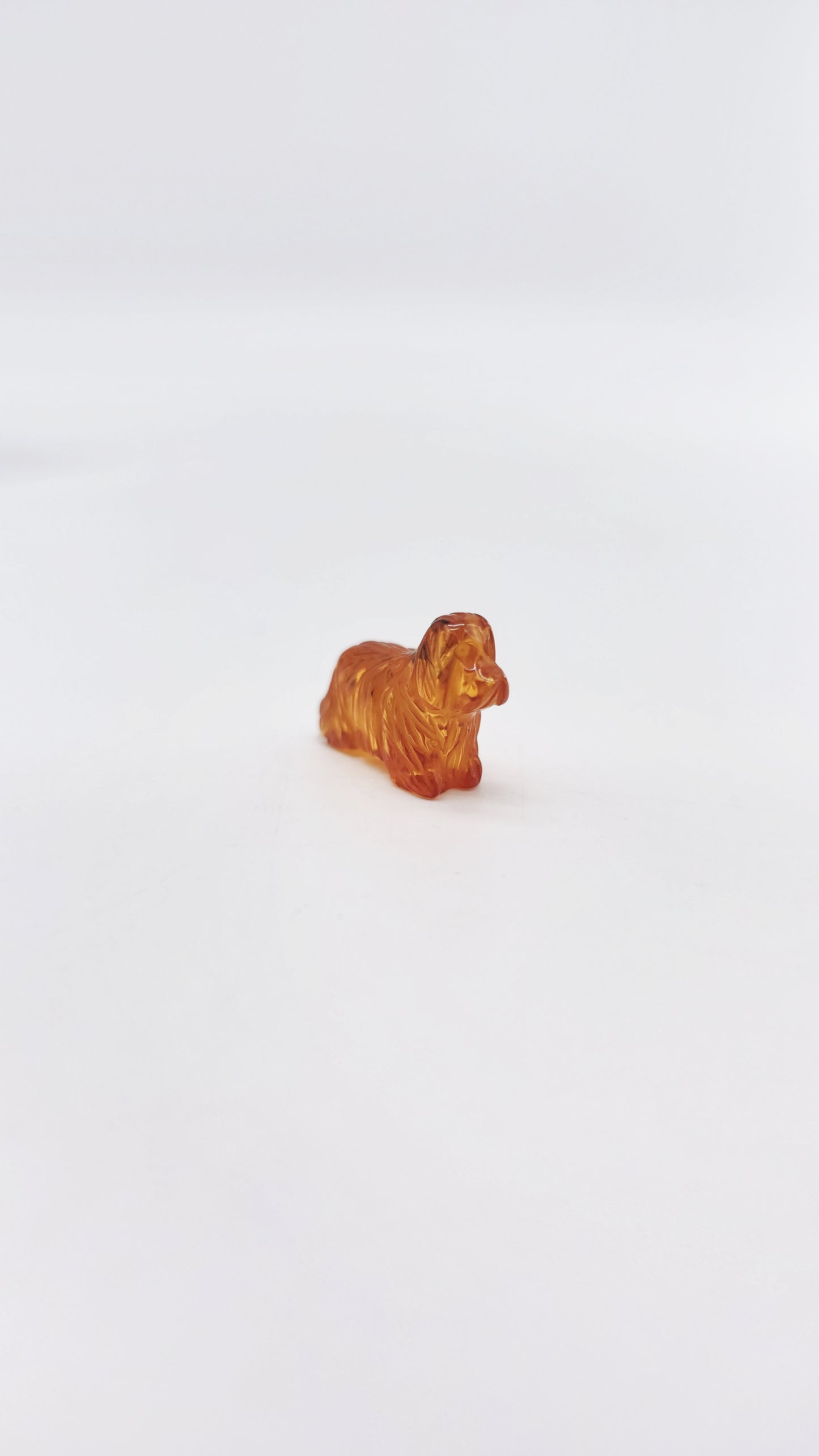 Naturbernstein-Hund – Einzigartiger Talisman für Treue