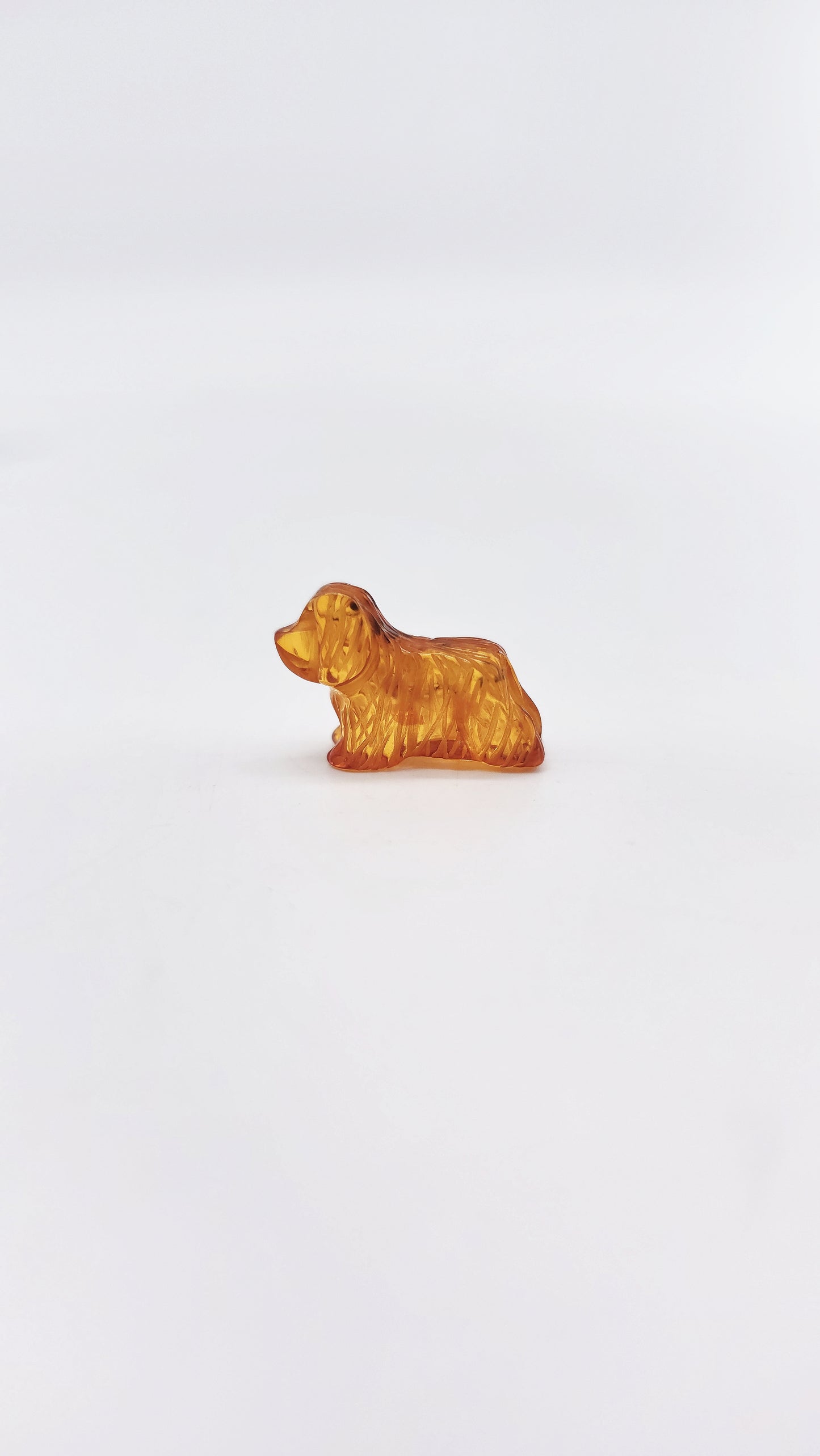 Naturbernstein-Hund – Einzigartiger Talisman für Treue