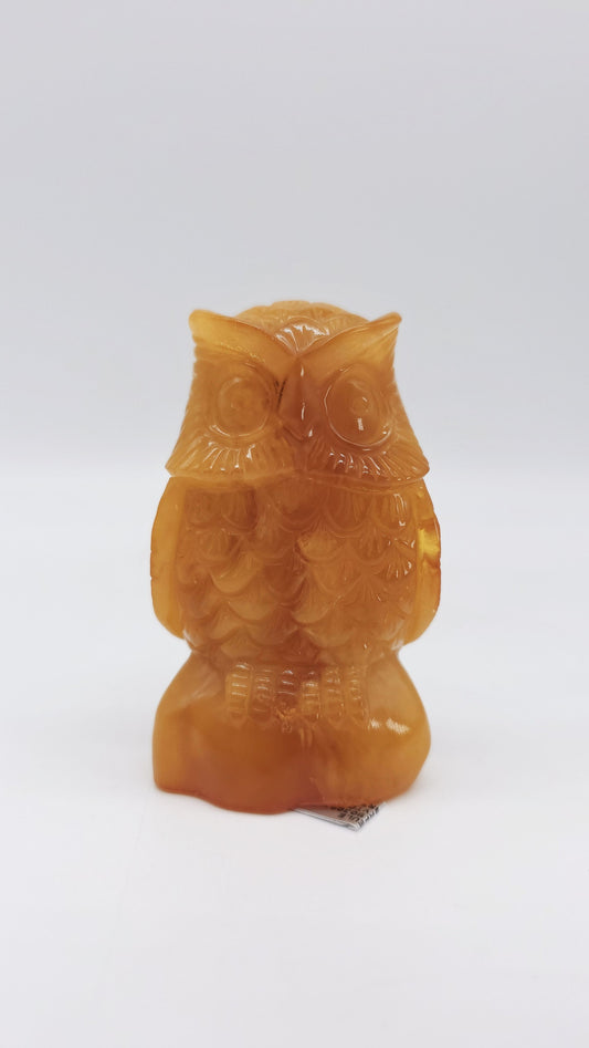 Bernsteinfigur Eule groß 8 cm – Symbol für Weisheit & Schutz