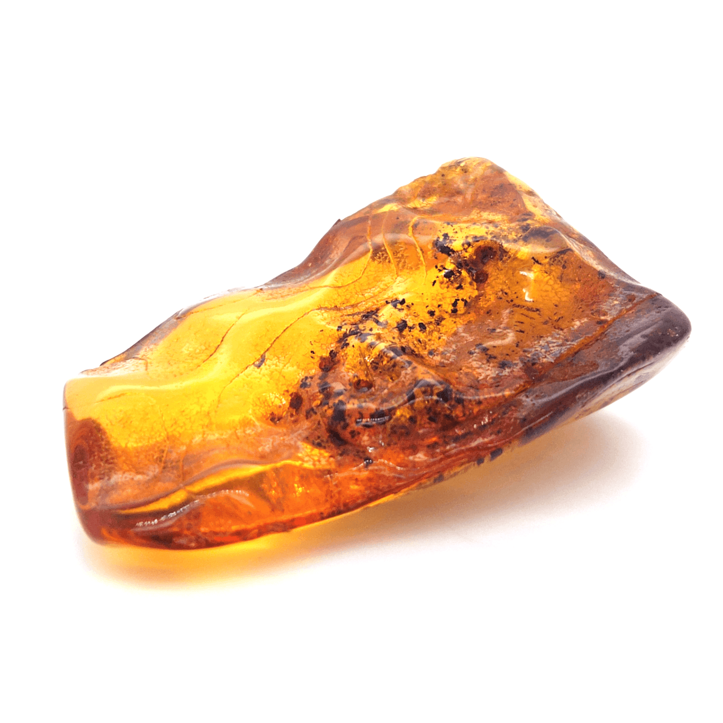 Baltic Sea Amber Raw Stone Collector's Item