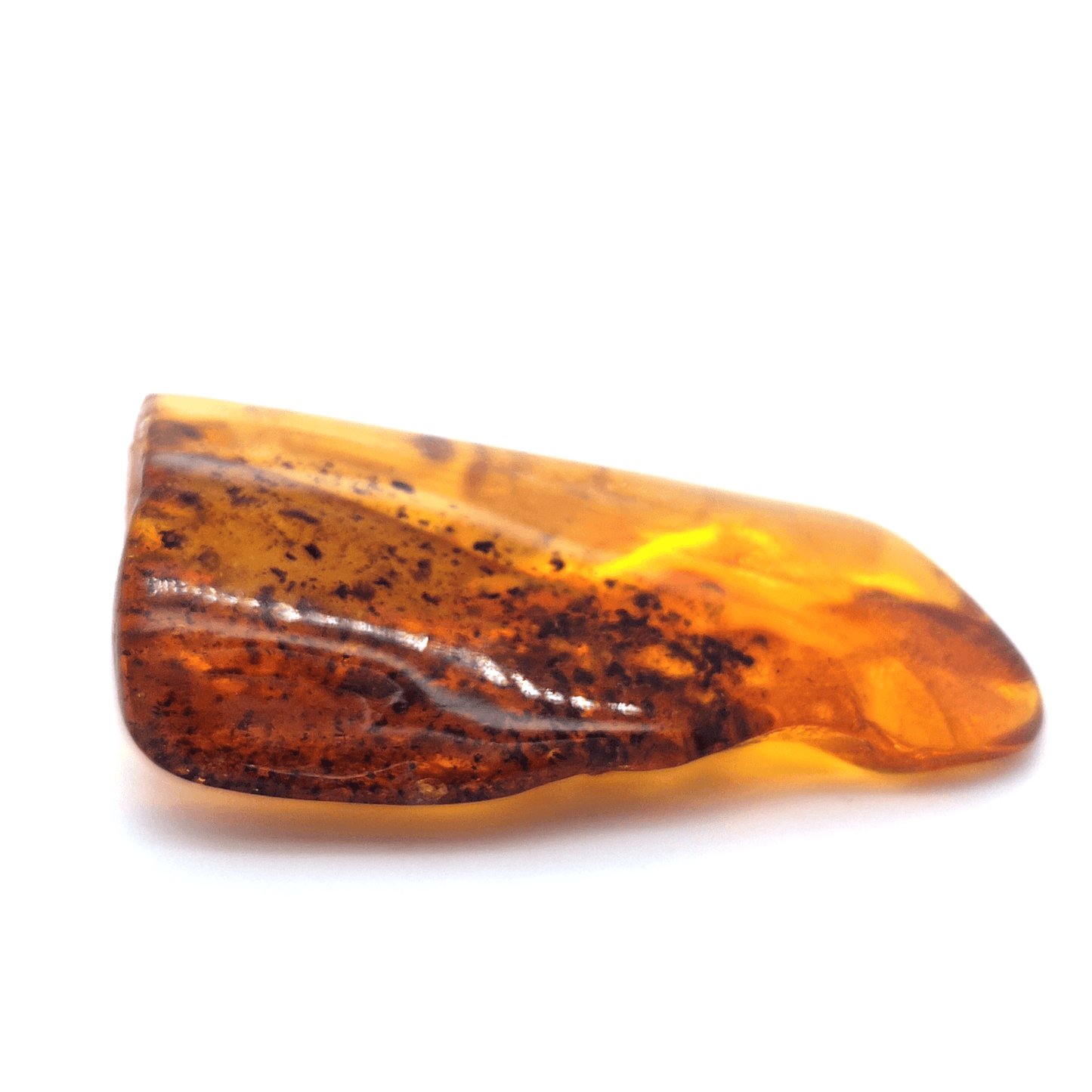 Baltic Sea Amber Raw Stone Collector's Item