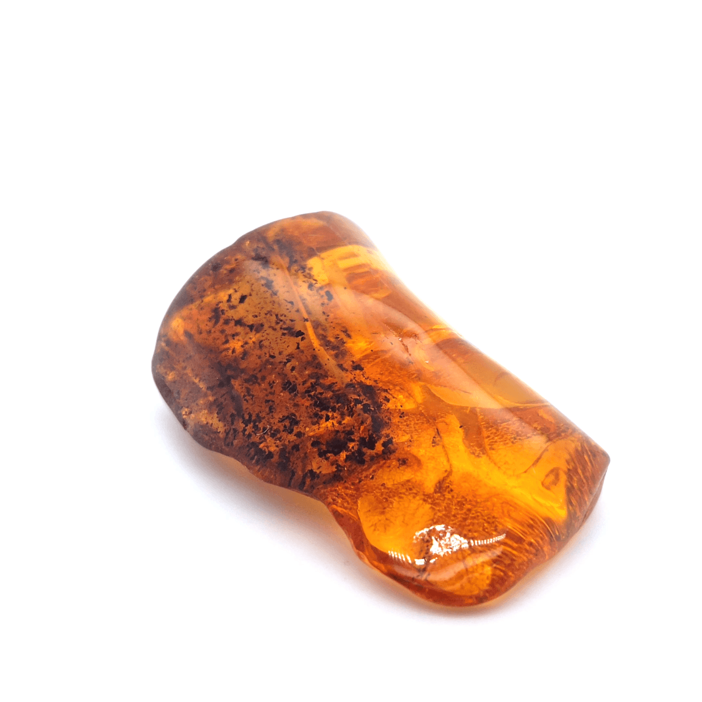 Baltic Sea Amber Raw Stone Collector's Item