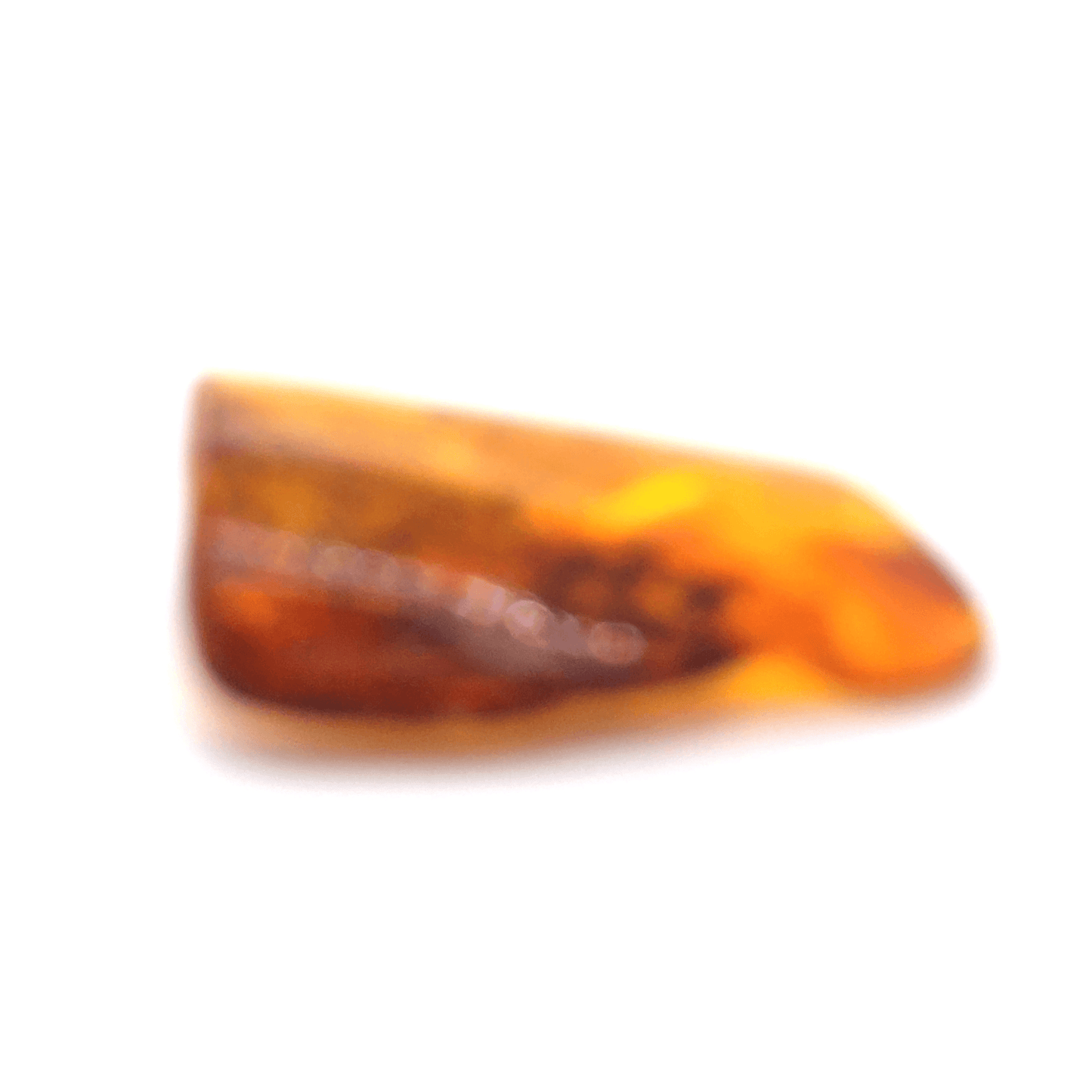 Baltic Sea Amber Raw Stone Collector's Item