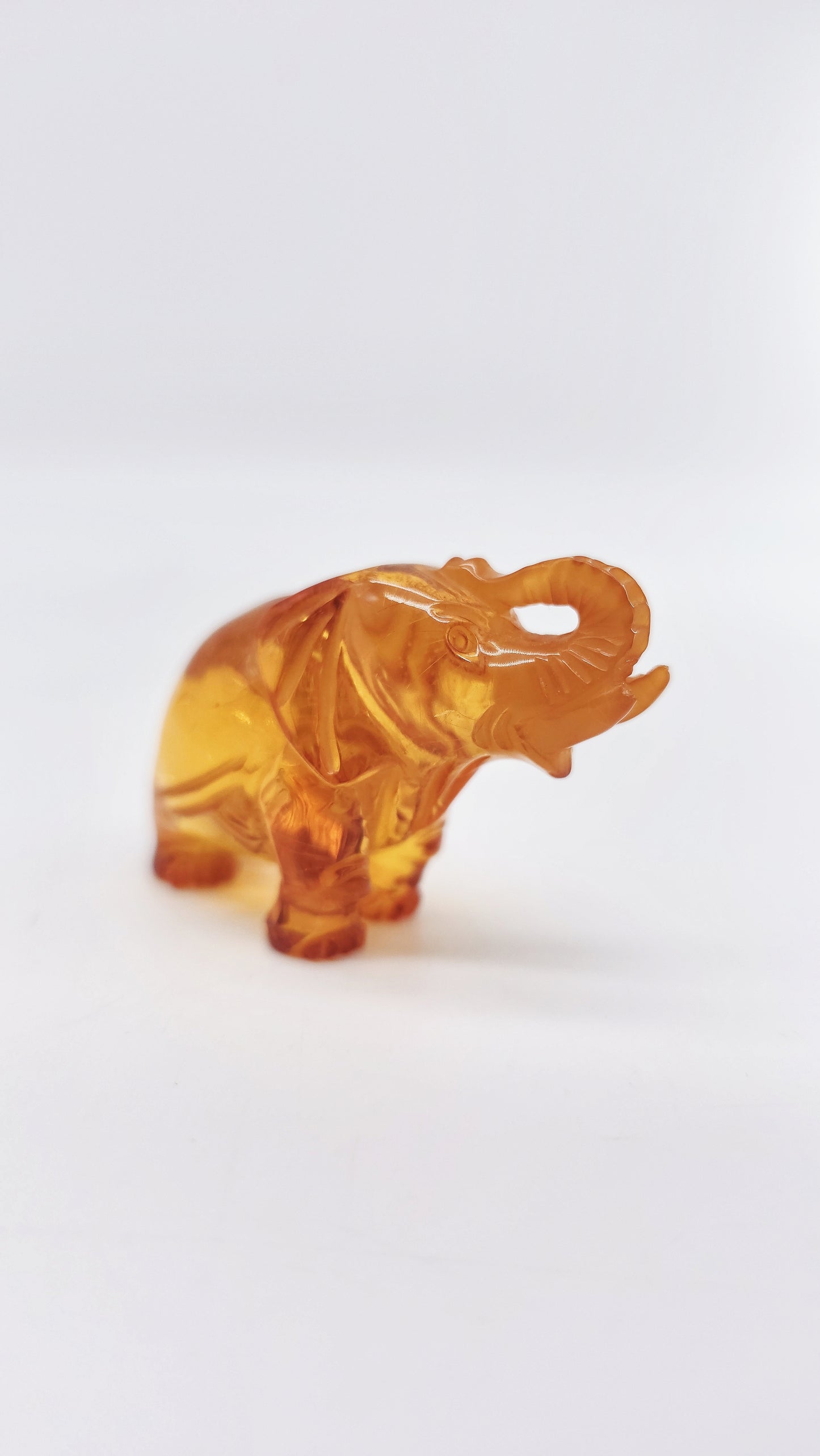 Glücksbringer: Elefant aus edlem Bernstein