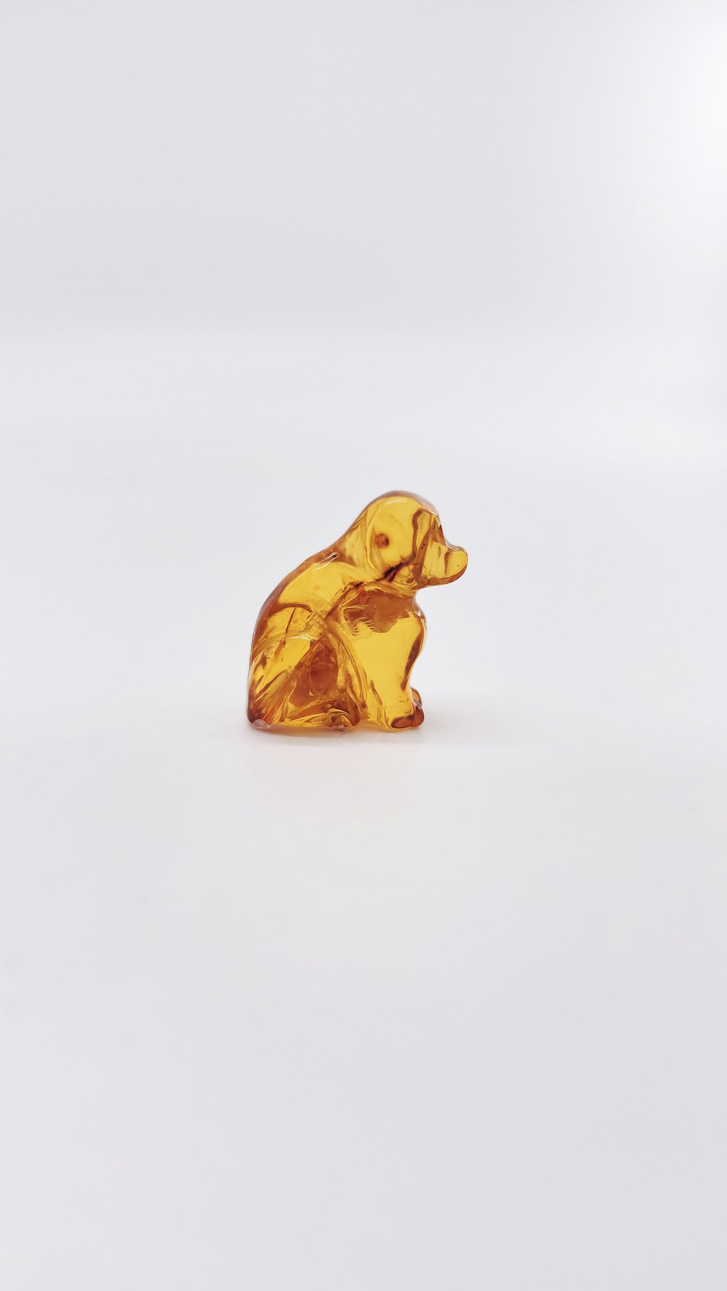 Dog as a protective symbol – loyalty, security &amp; joy of life